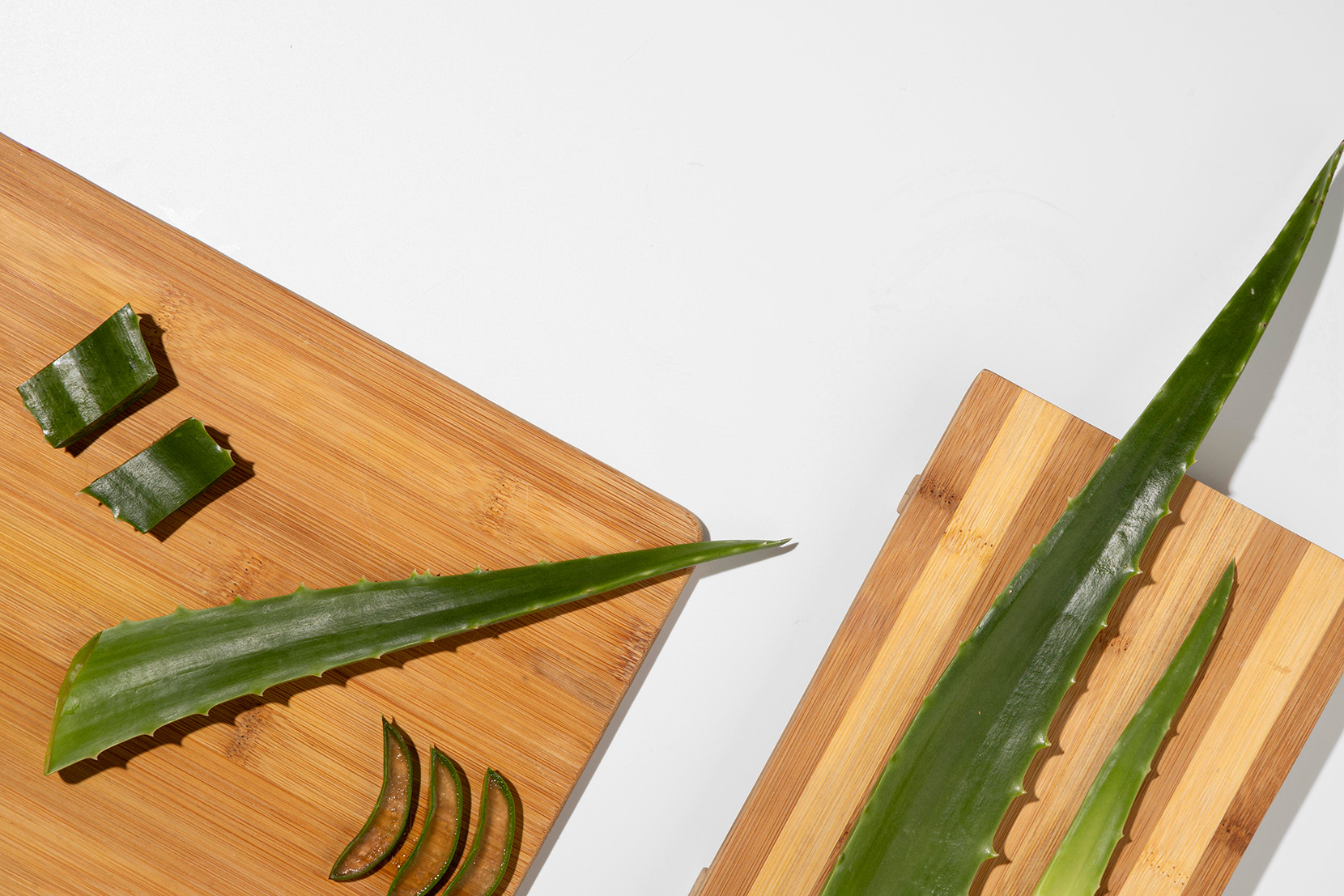 aloe vera na drevenej doske